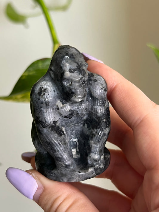 Flashy Larvikite Gorilla