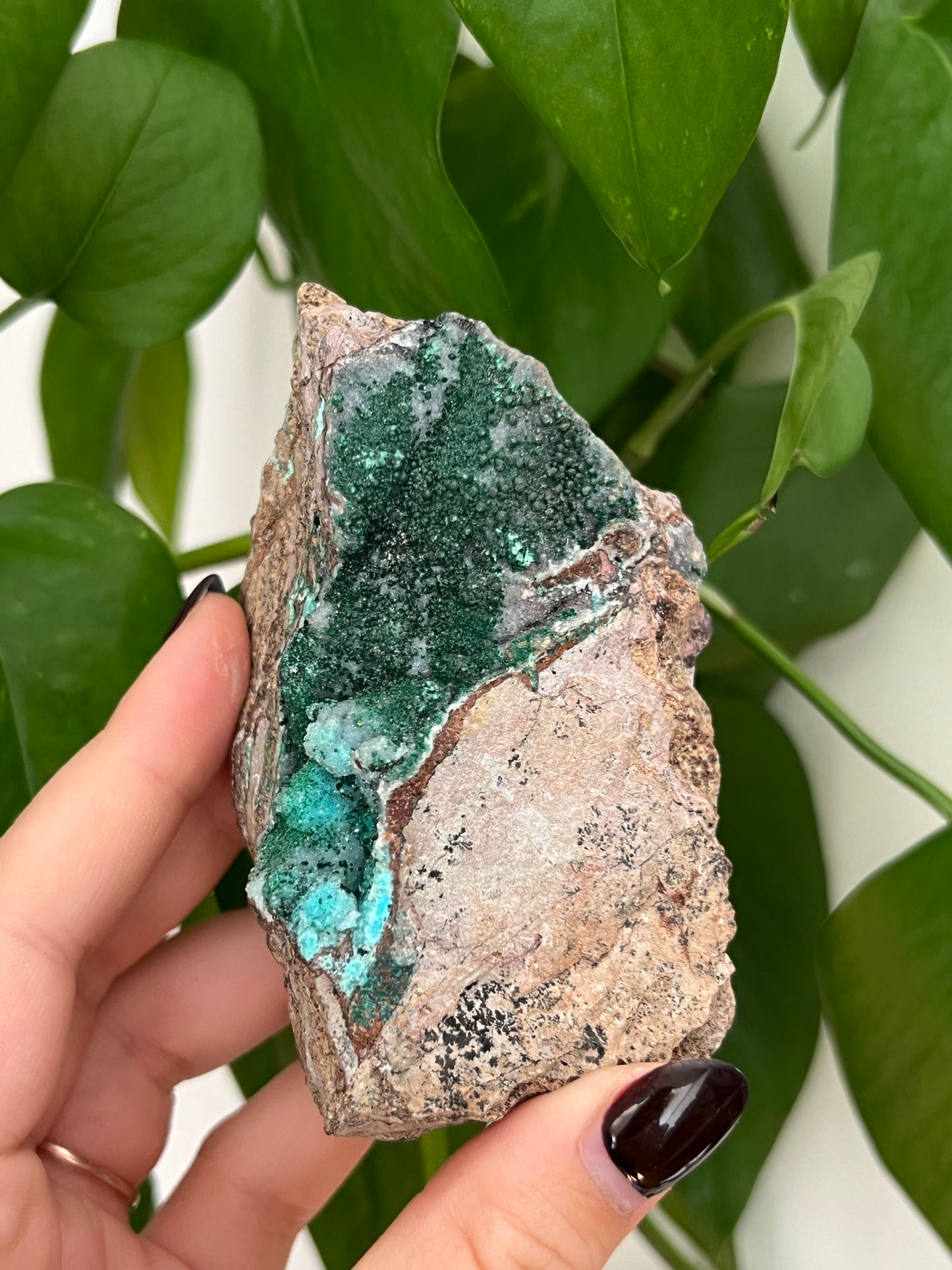 Botryoidal Malachite, Dolomite, Druzy Chrysocolla P