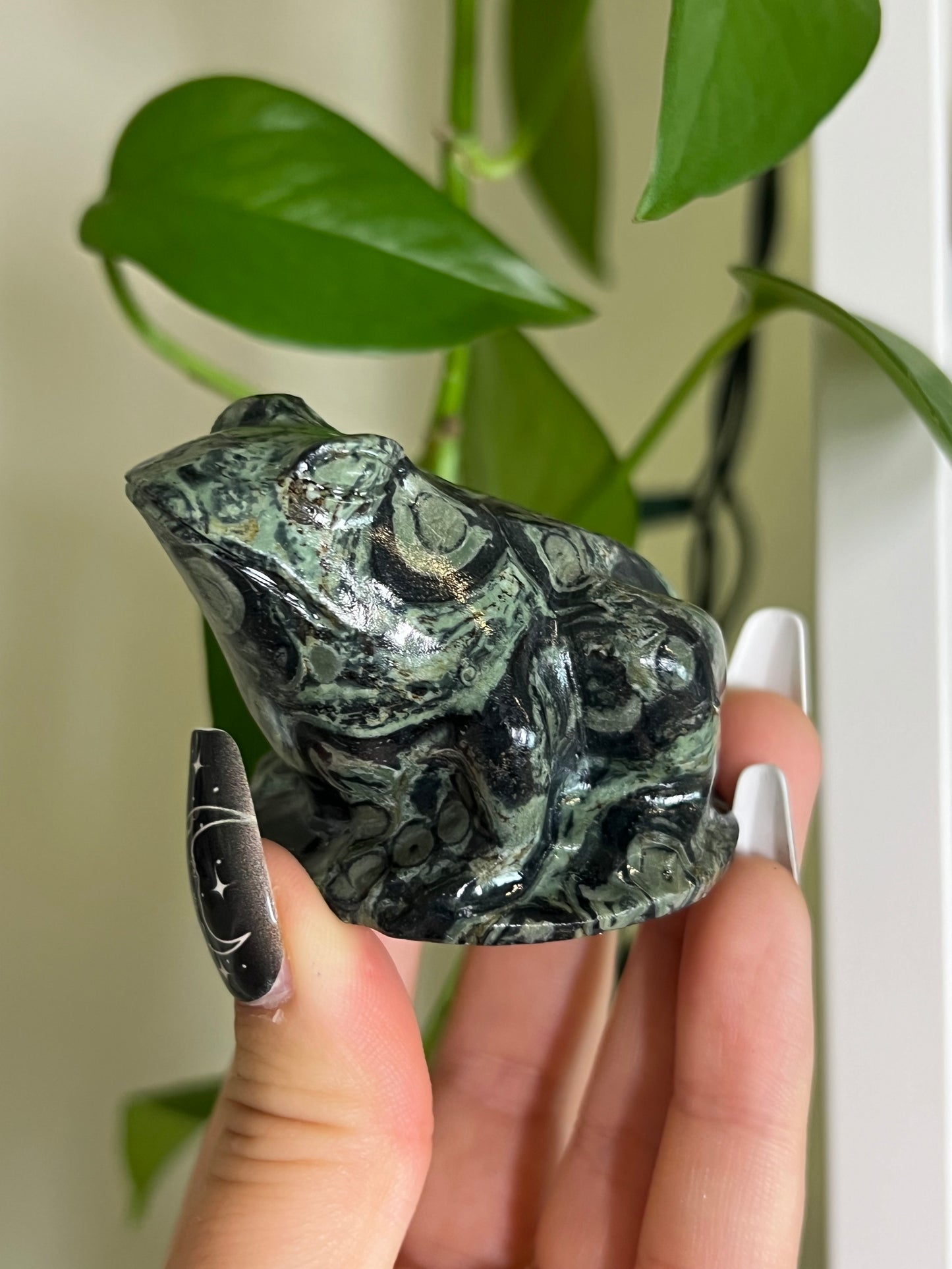 Kambaba Jasper Toad