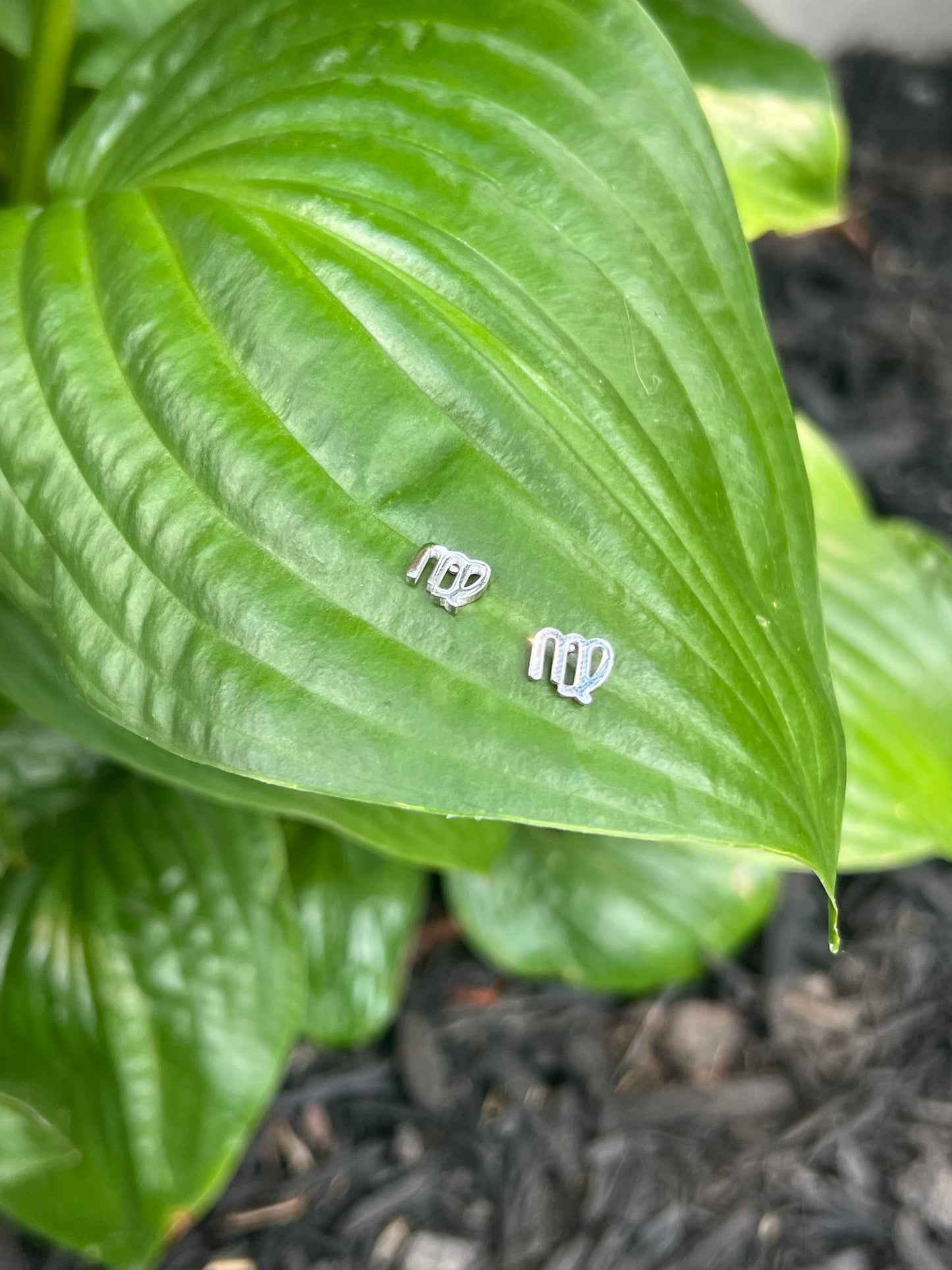 Virgo Silver Zodiac Sign Studs ♍️