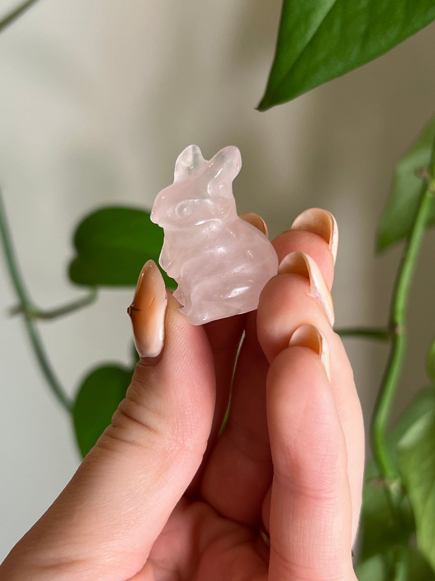 Rose Quartz Rabbit