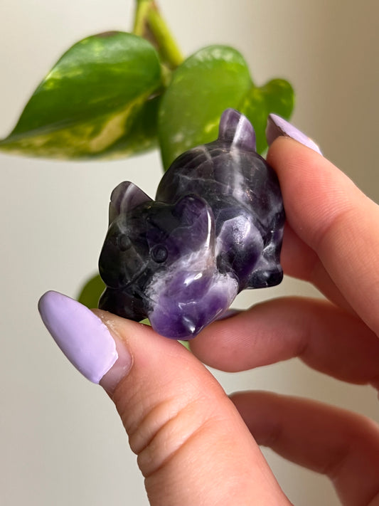 Dream Amethyst Playful Cat