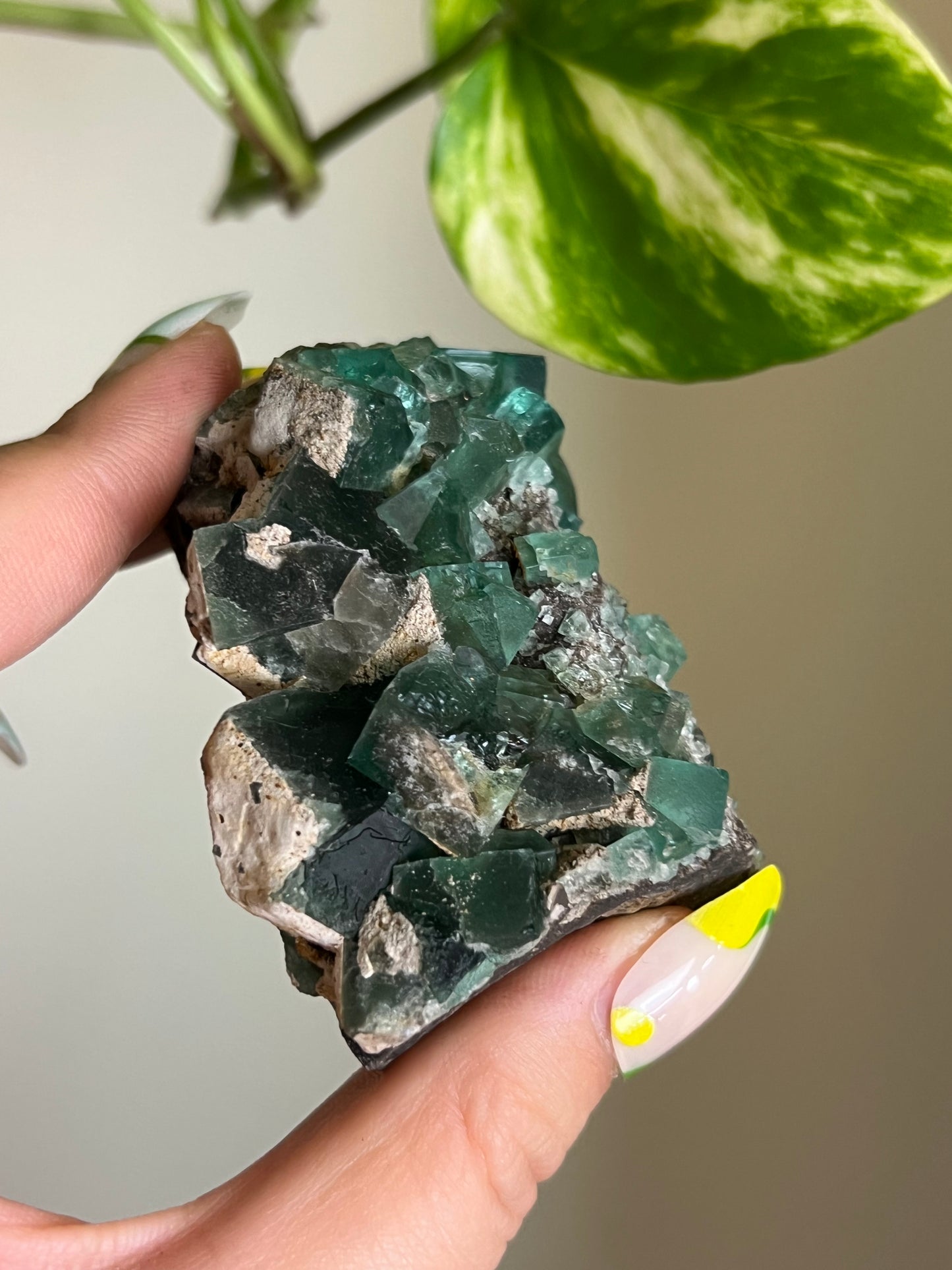 Green Cubic Fluorite Cluster - T