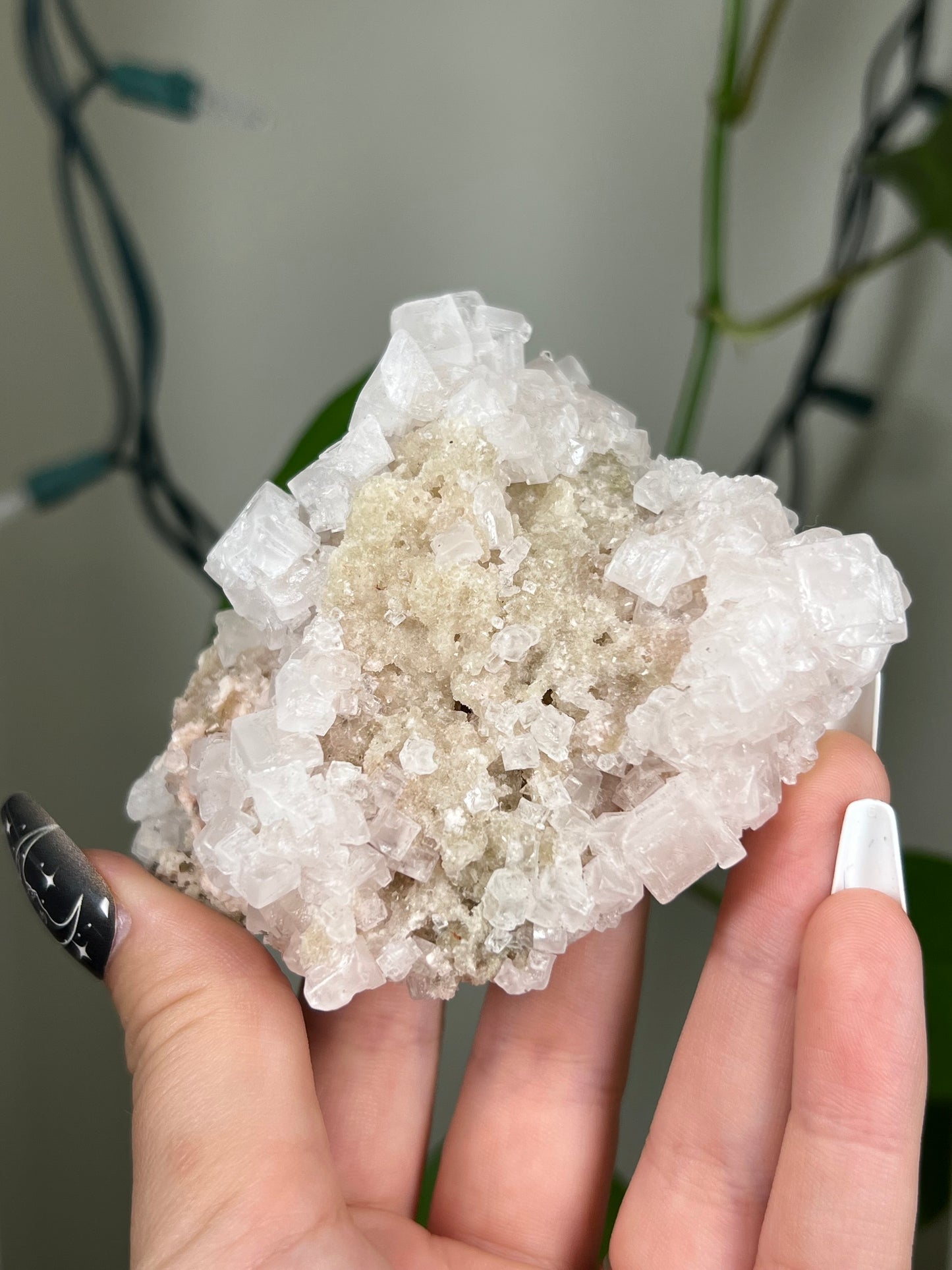 Pastel Pink Halite Cluster - Rare