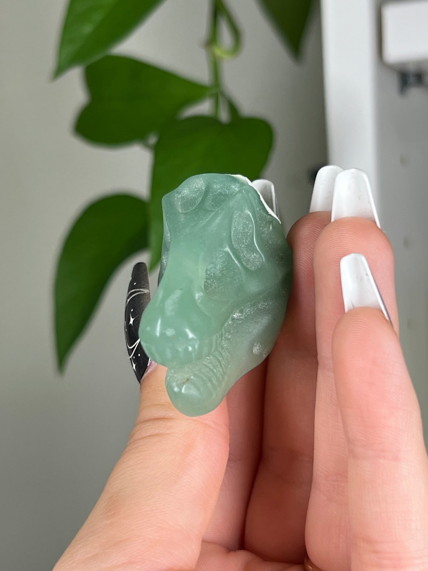 Green Aventurine Dinosaur Skull Head