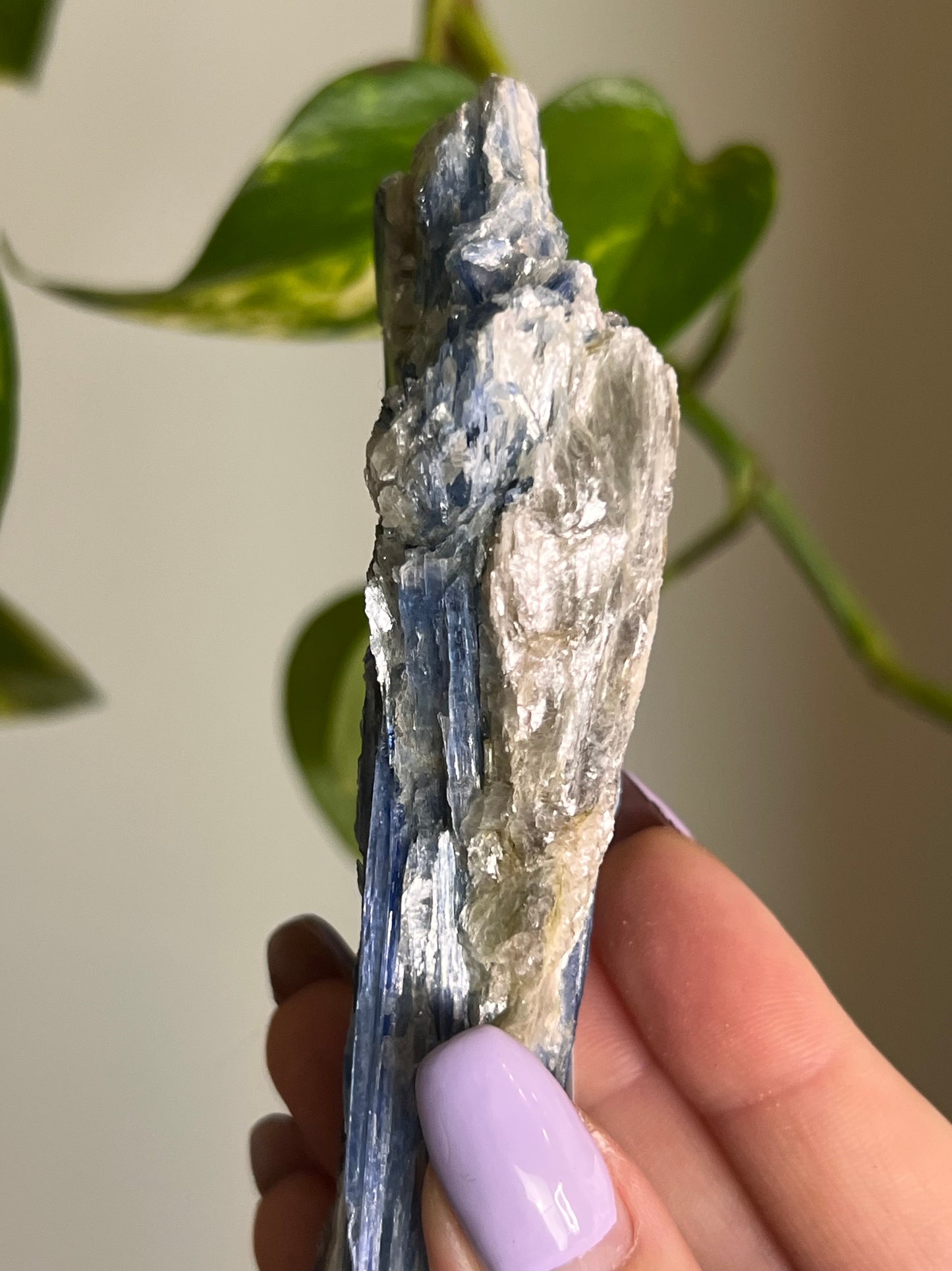 Blue Kyanite Raw Blade