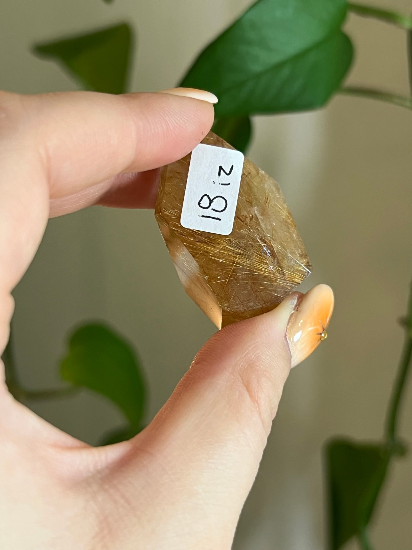 Golden Rutile Quartz Gusher - IZ