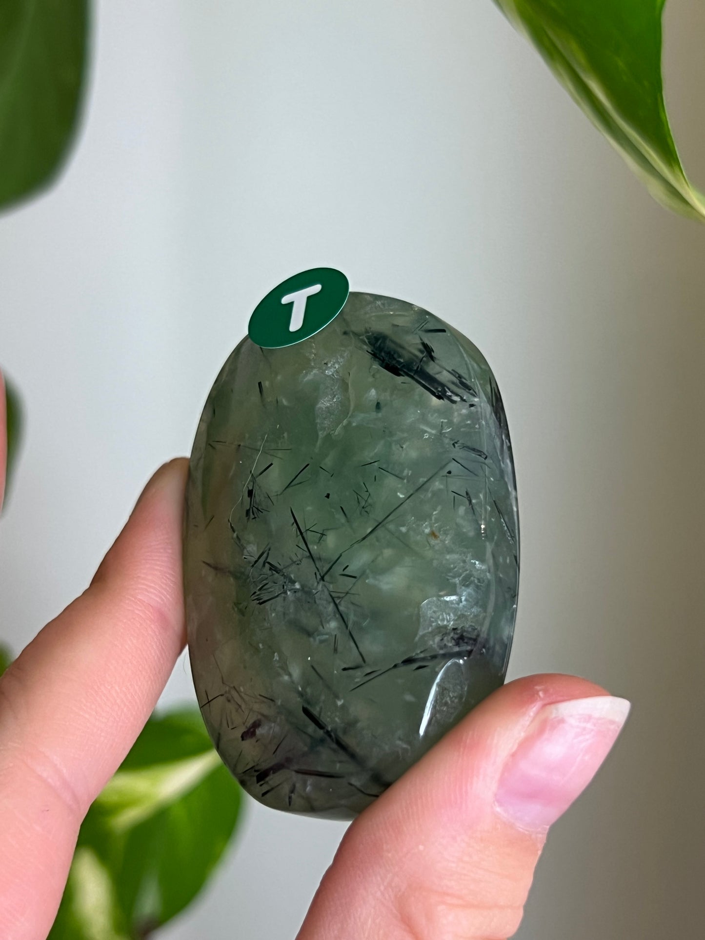 Prehnite with Epidote Palm Stone - T
