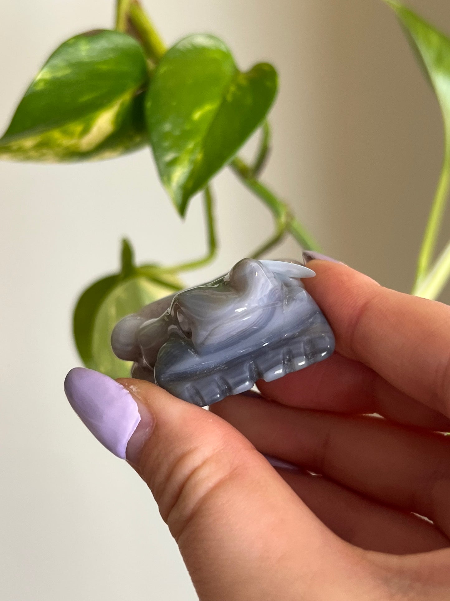 Druzy Agate Frog - 3