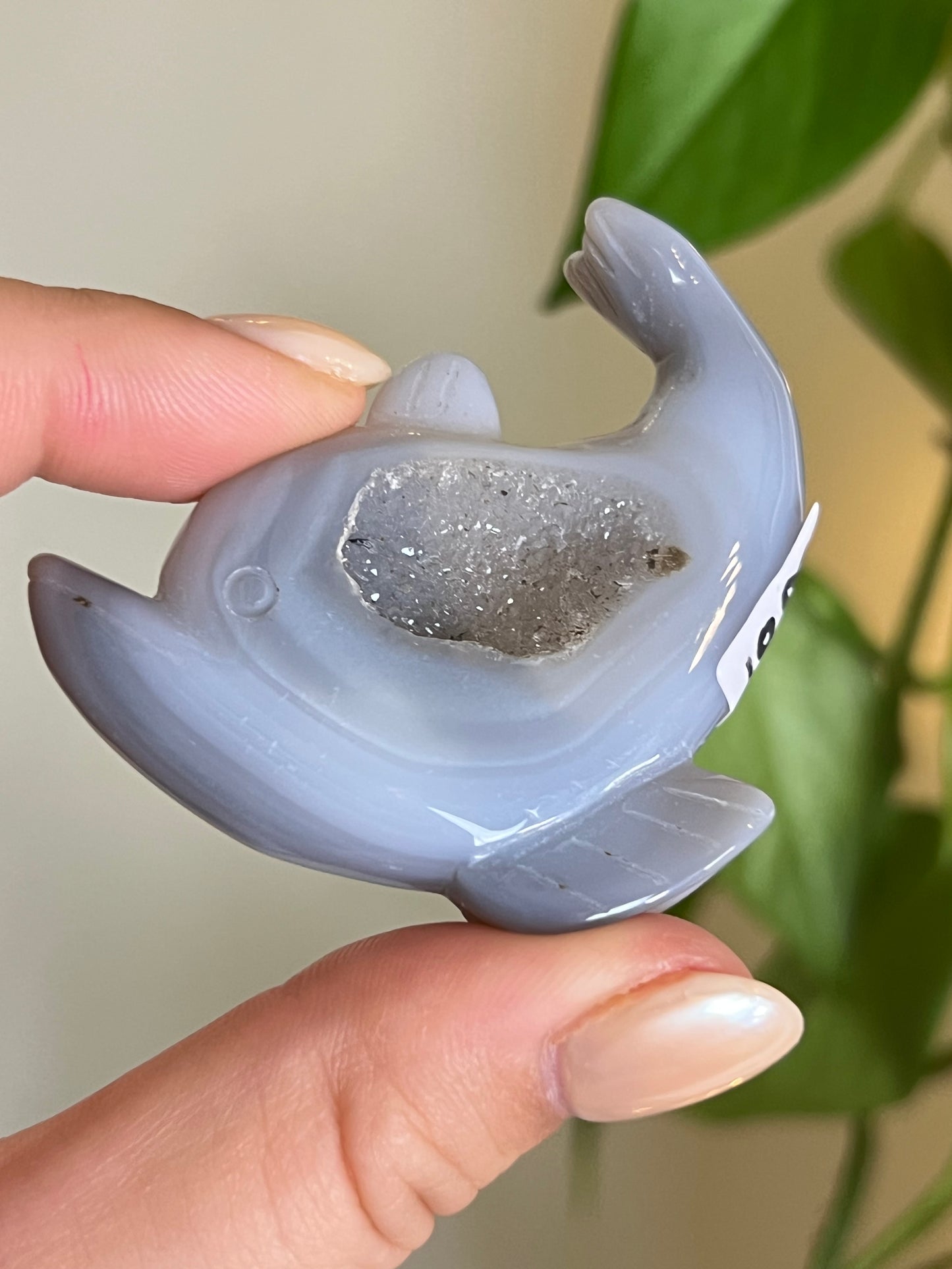 Druzy Agate Dolphin