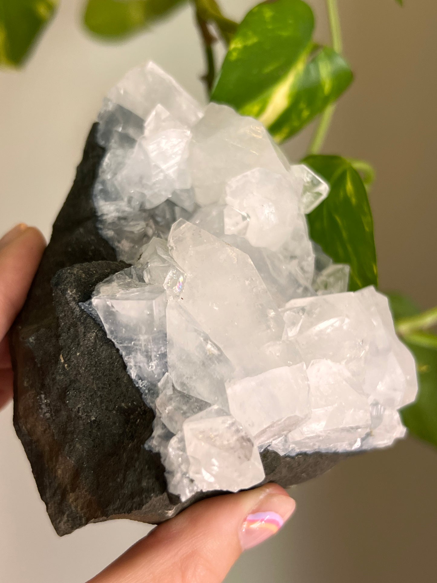 Apophyllite Cluster - H