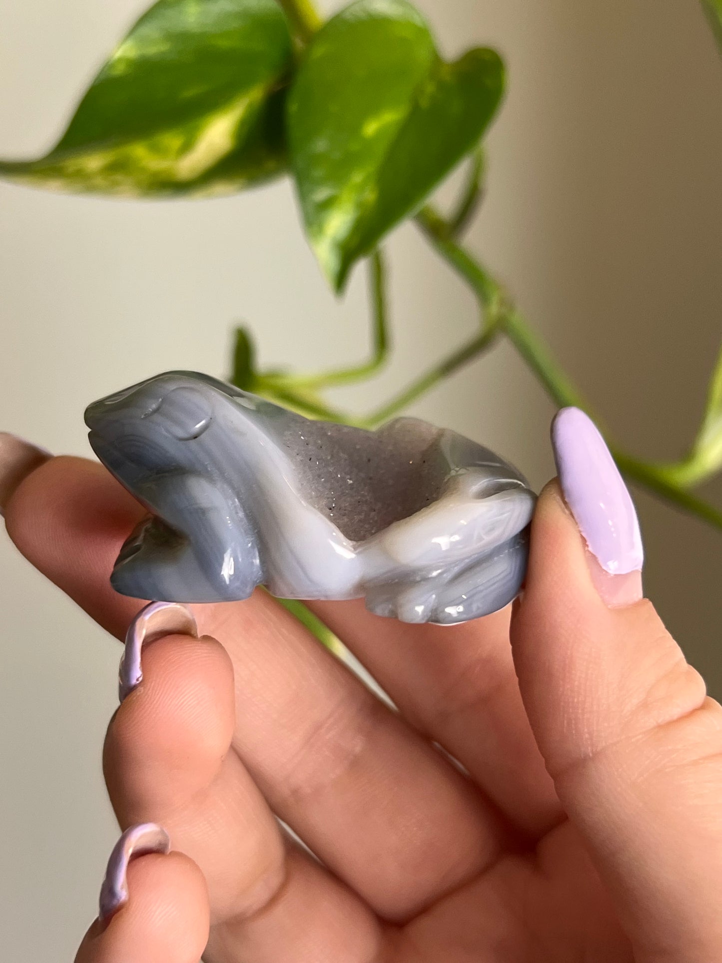 Druzy Agate Frog - 3
