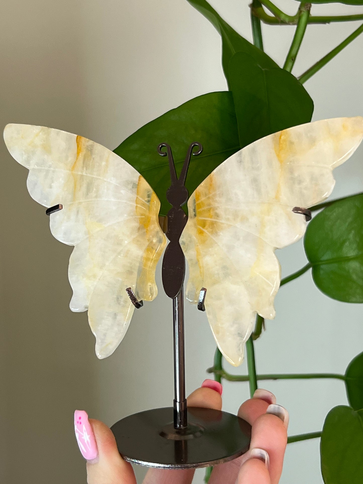 Golden Healer Butterfly Stand