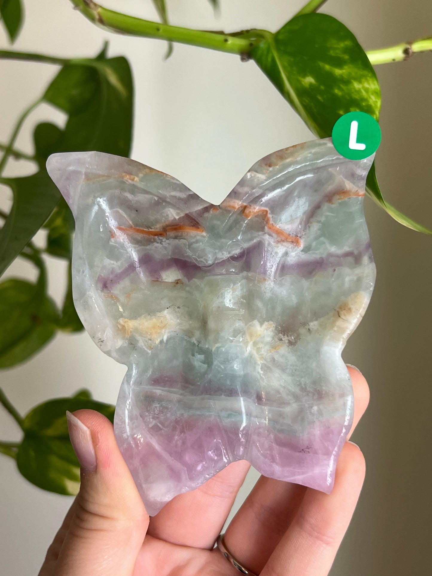 Rainbow Fluorite Butterfly Dish - L