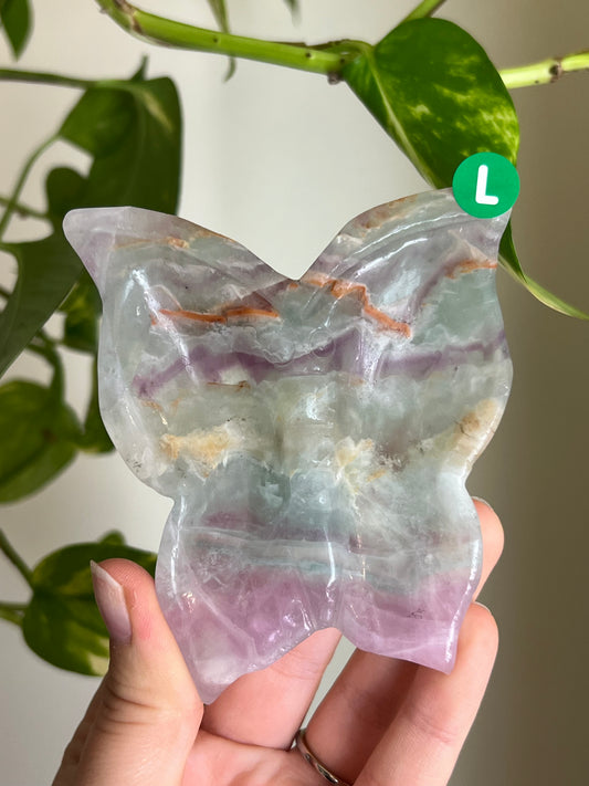 Rainbow Fluorite Butterfly Dish - L