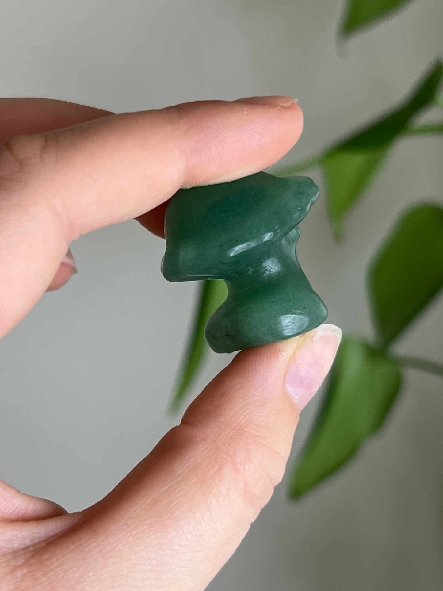 Green Aventurine Mushroom Body