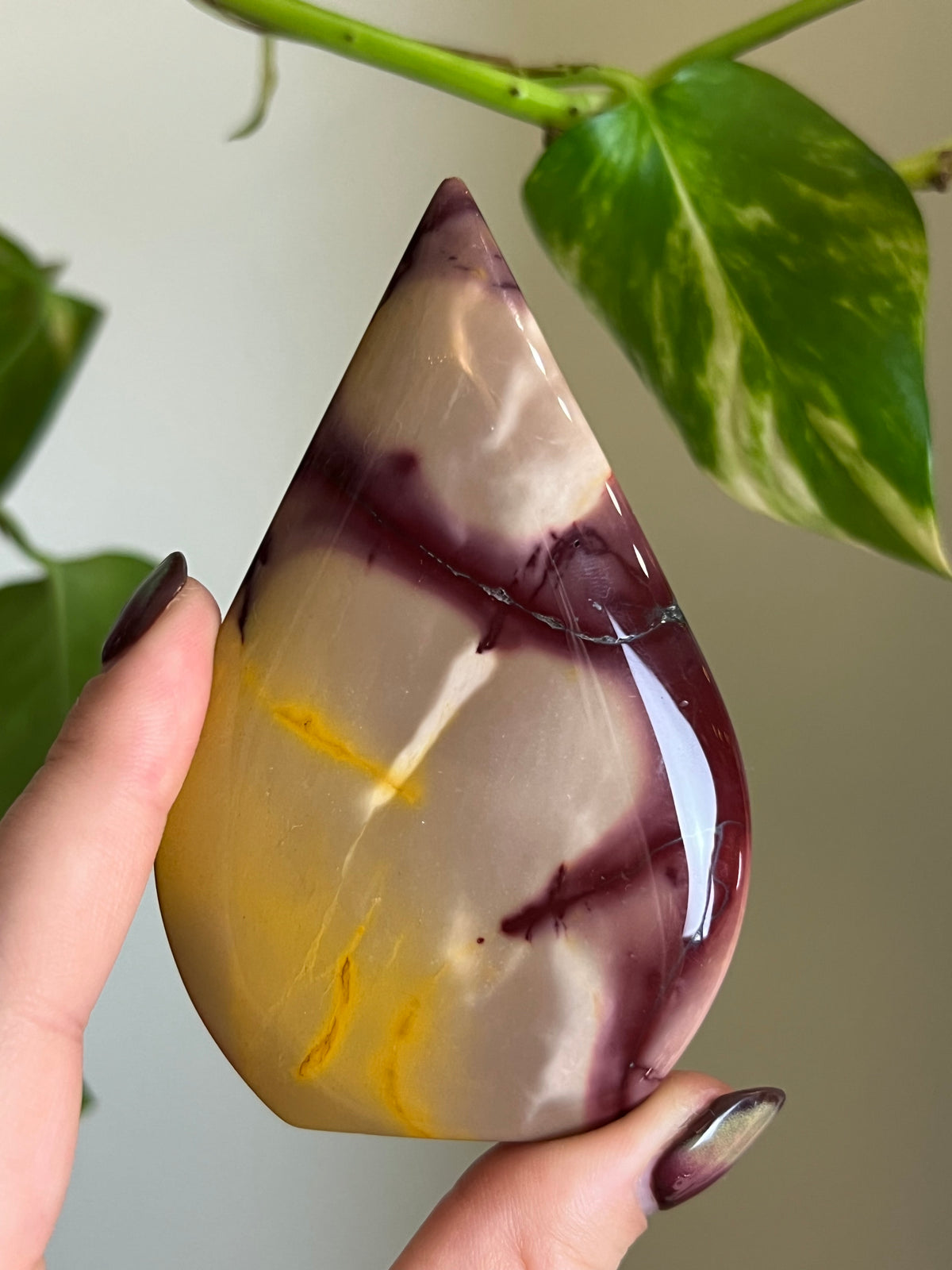 Mookaite Jasper Freeform - X