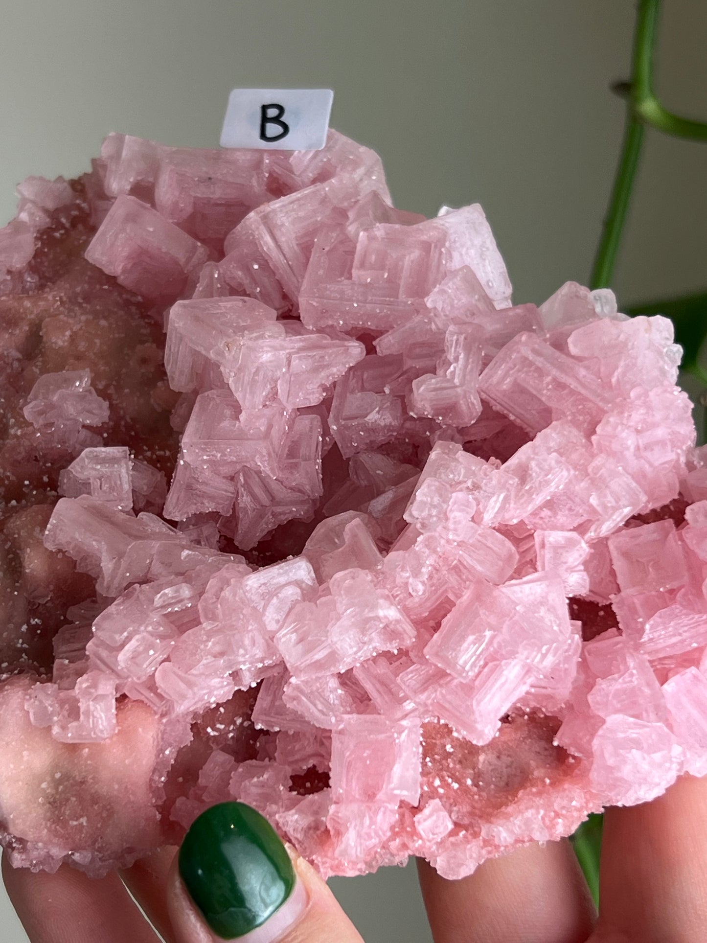 Pink Halite Specimen - XLarge - B