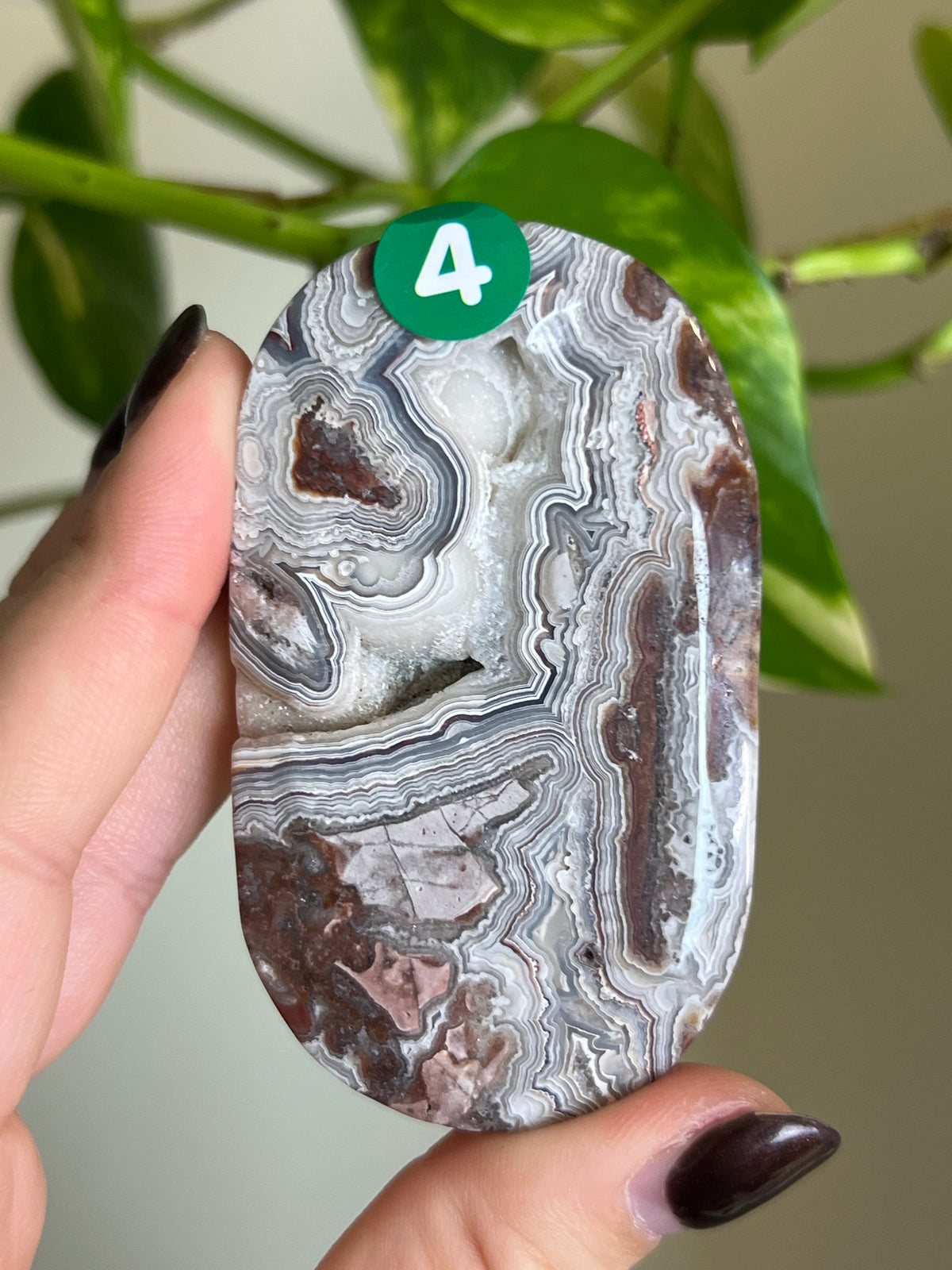 Druzy Mexican Lace Agate Palm Stone - 4
