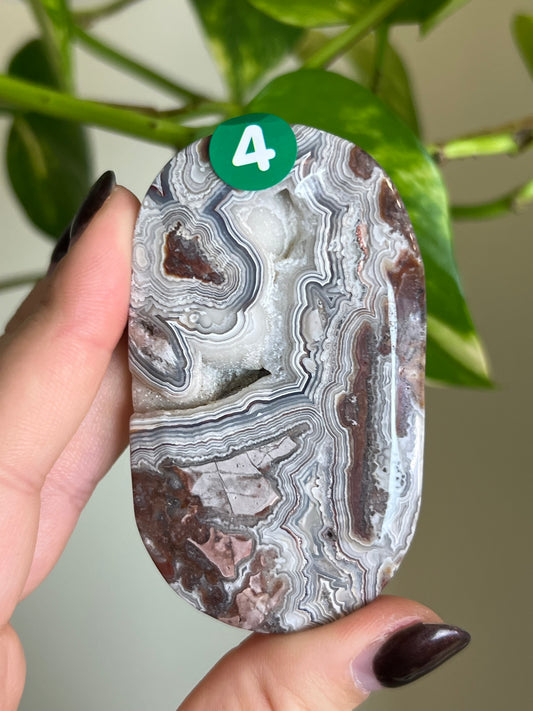 Druzy Mexican Lace Agate Palm Stone - 4
