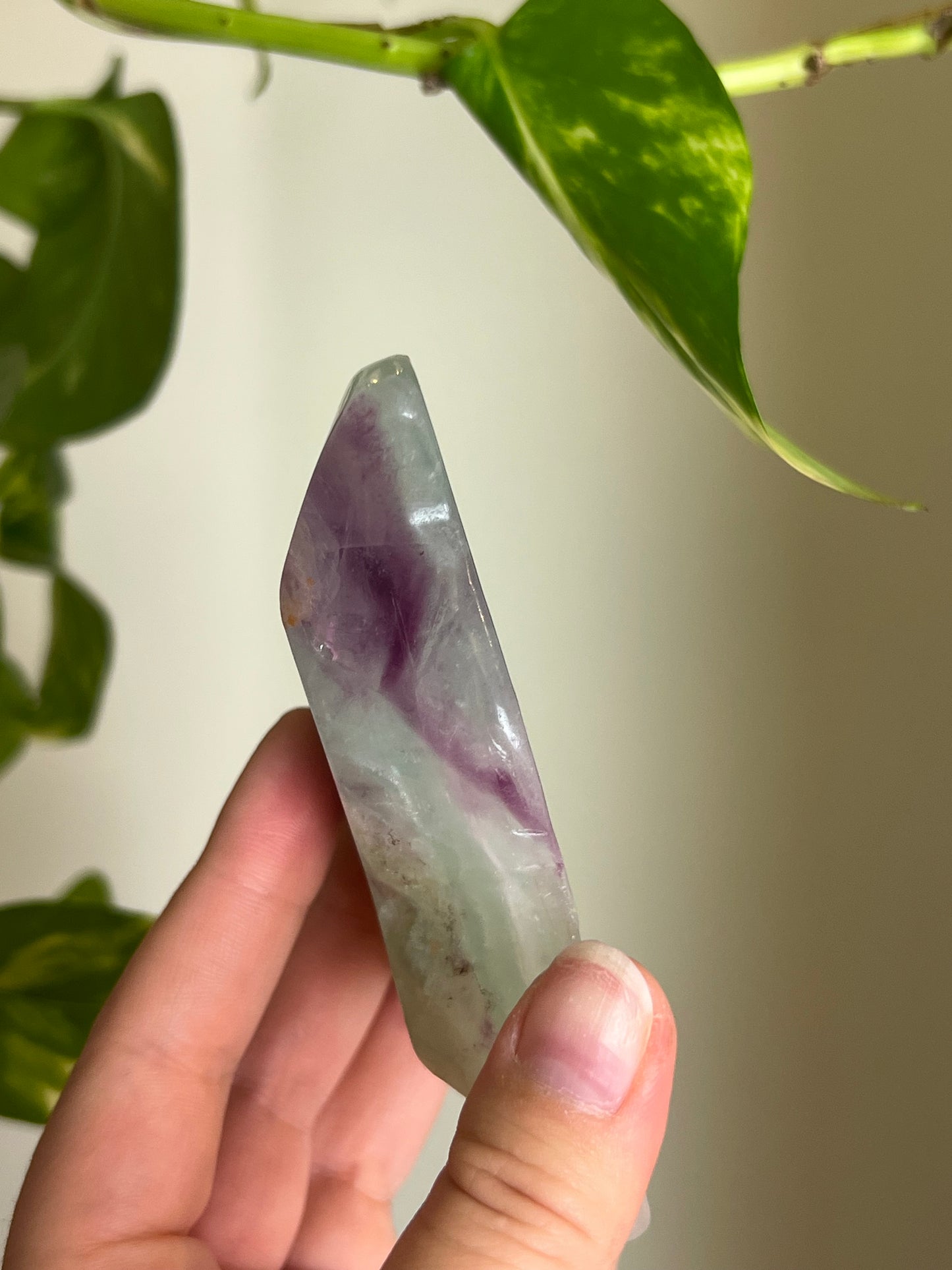 Rainbow Fluorite Butterfly Dish - R