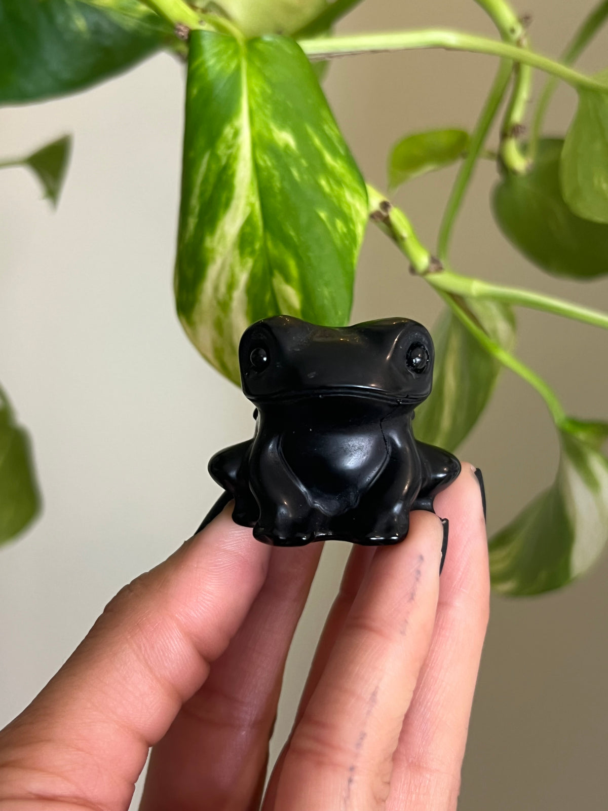 Black Obsidian Frog