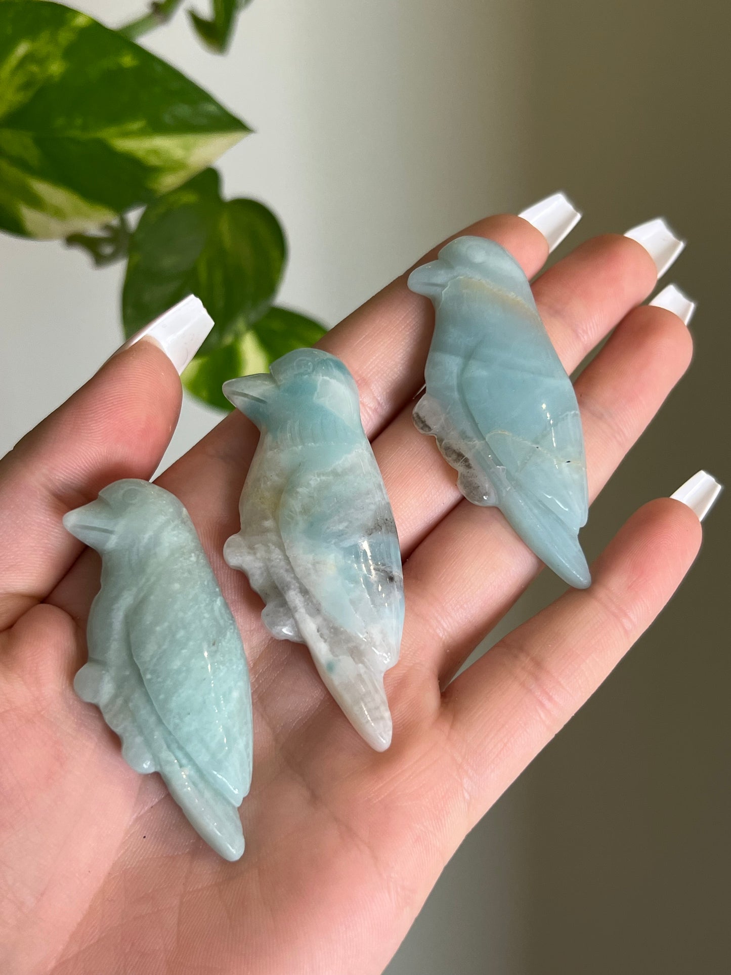 Amazonite Bird