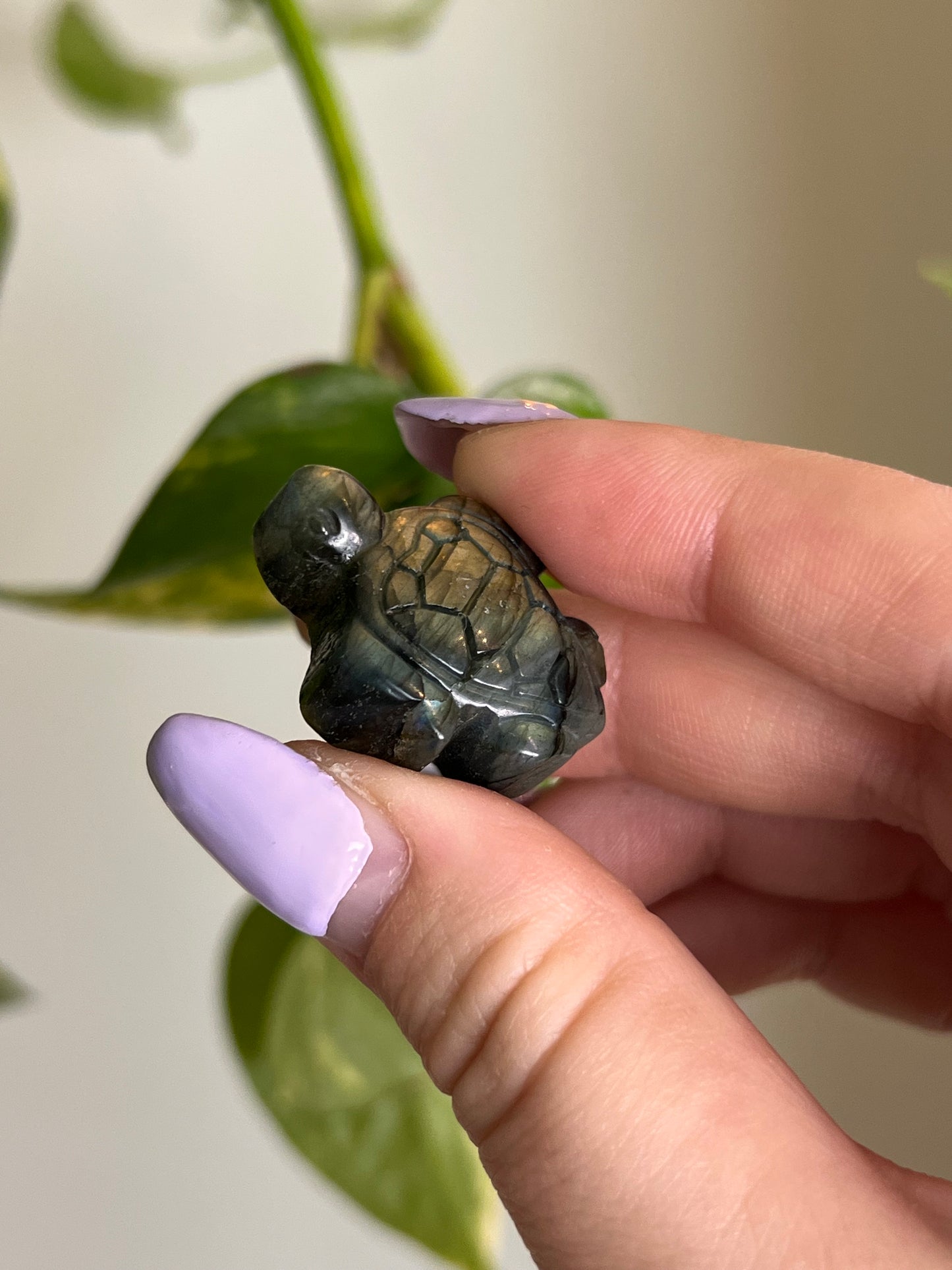 Flashy Labradorite Sea Turtle