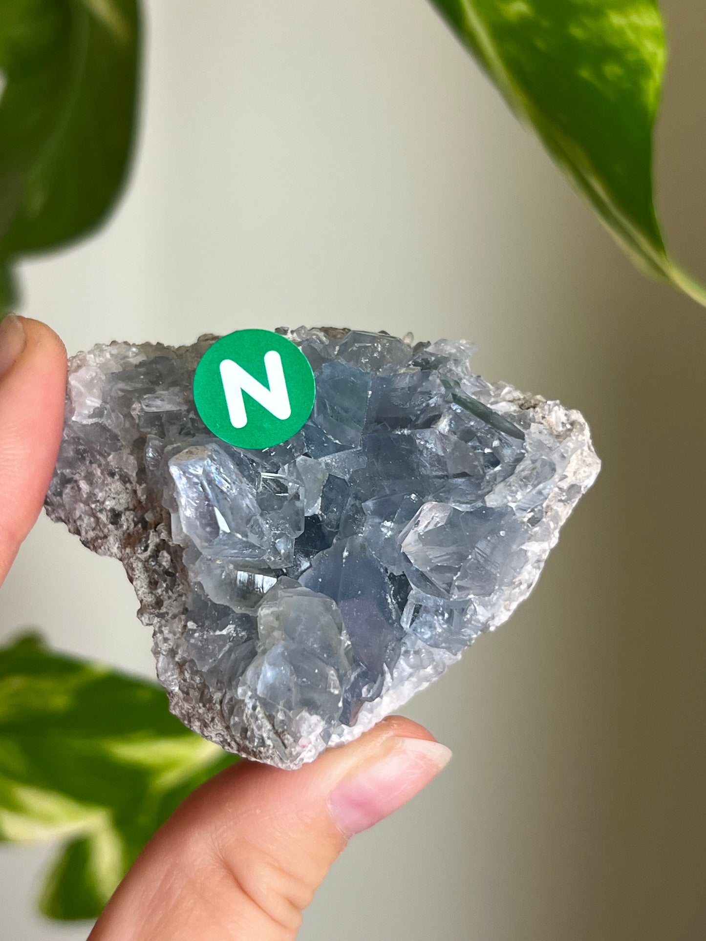 Celestite Cluster Small - N