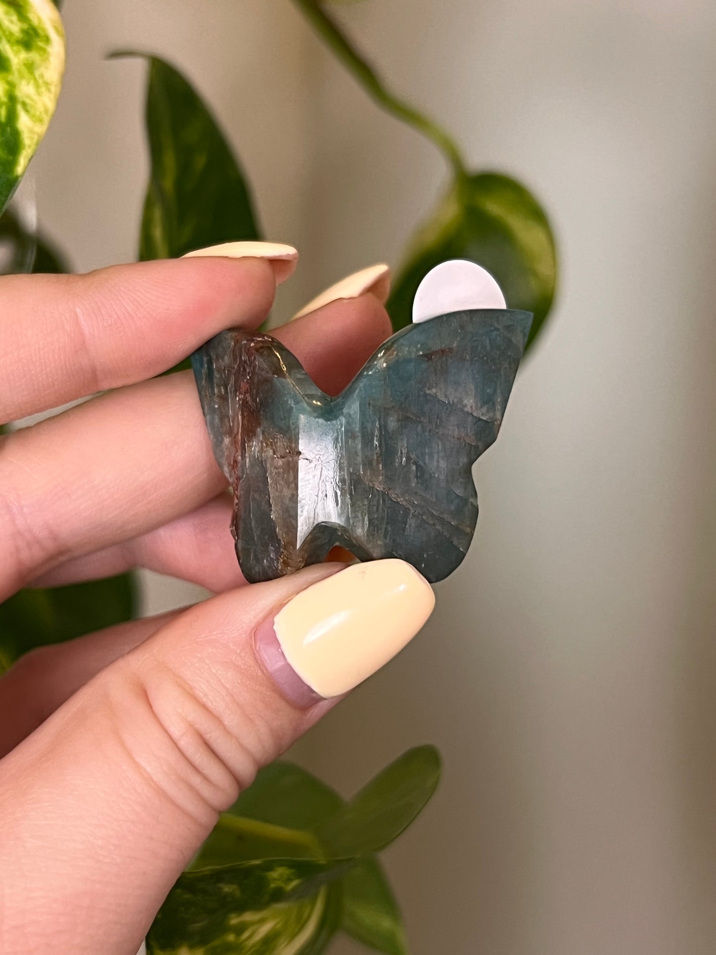 Green Apatite Small 3D Butterfly - Z