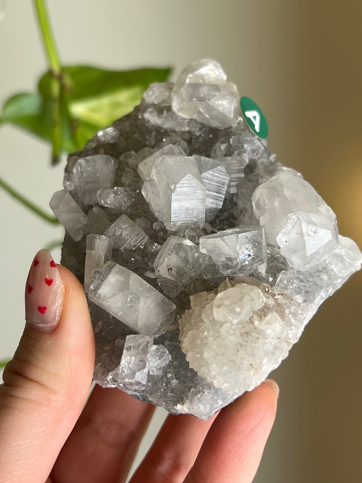Apophyllite x Chalcedony Cluster - A