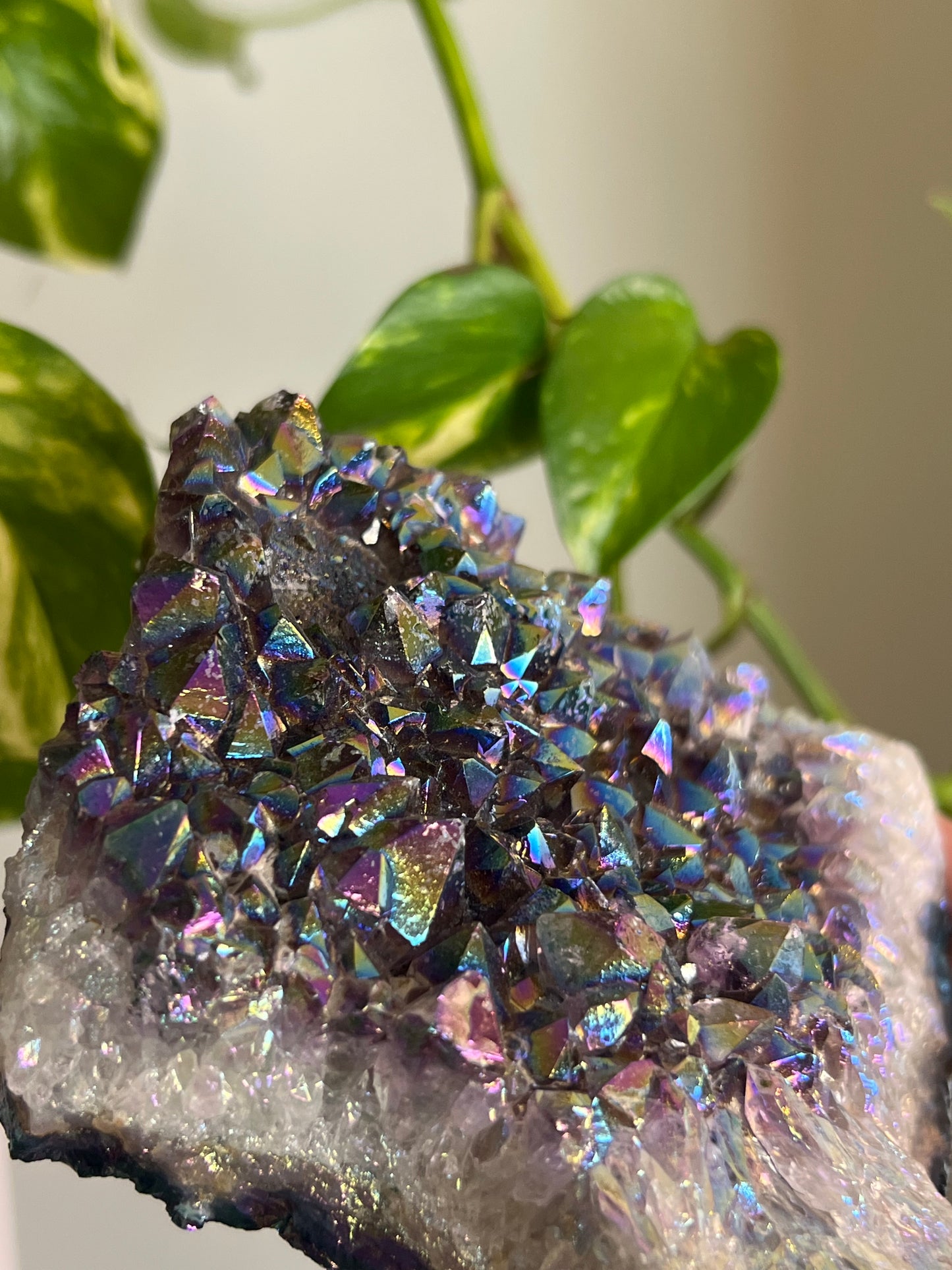 Aura Amethyst Large Cluster