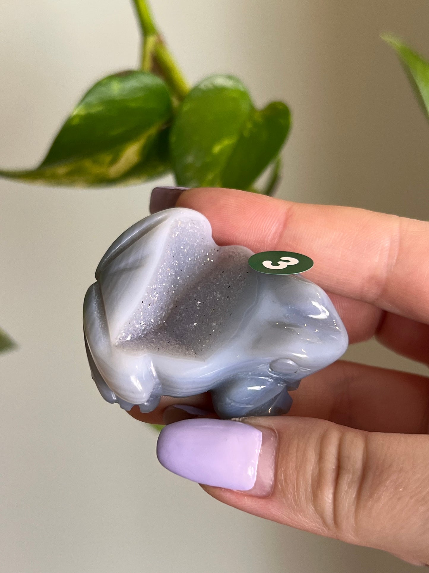 Druzy Agate Frog - 3