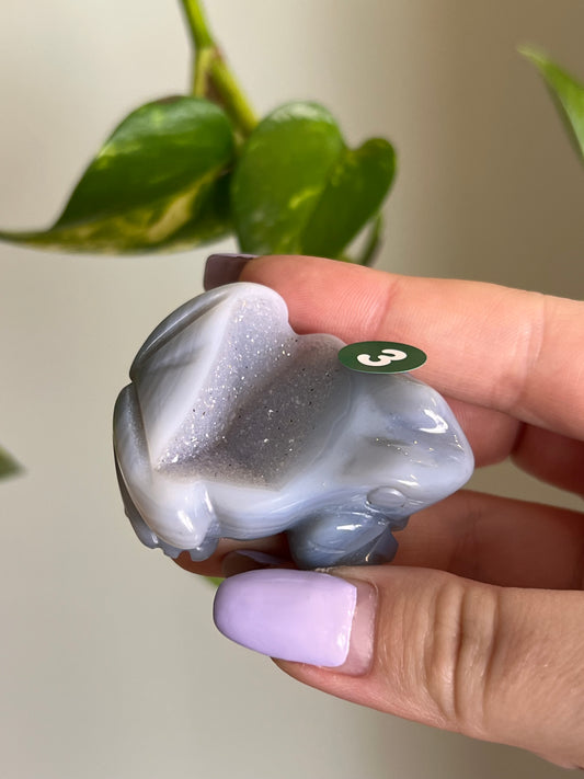 Druzy Agate Frog - 3