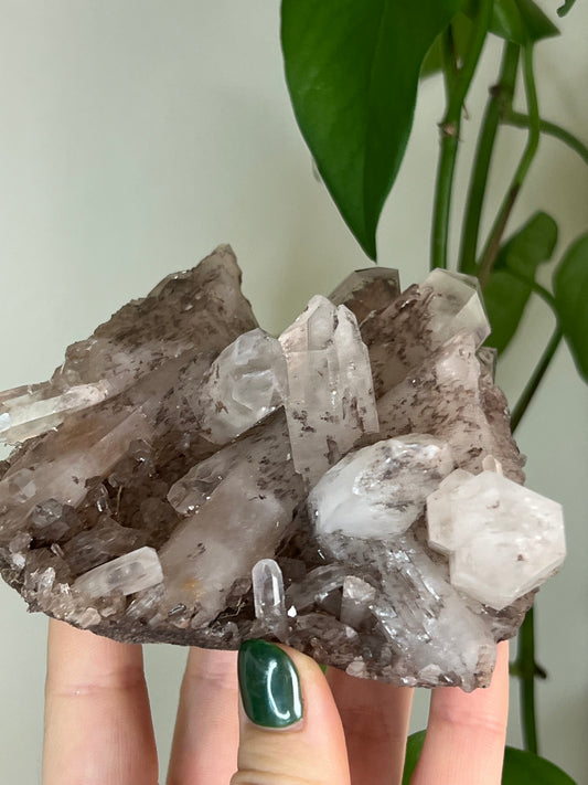 Himalayan Inclusion Quartz Cluster