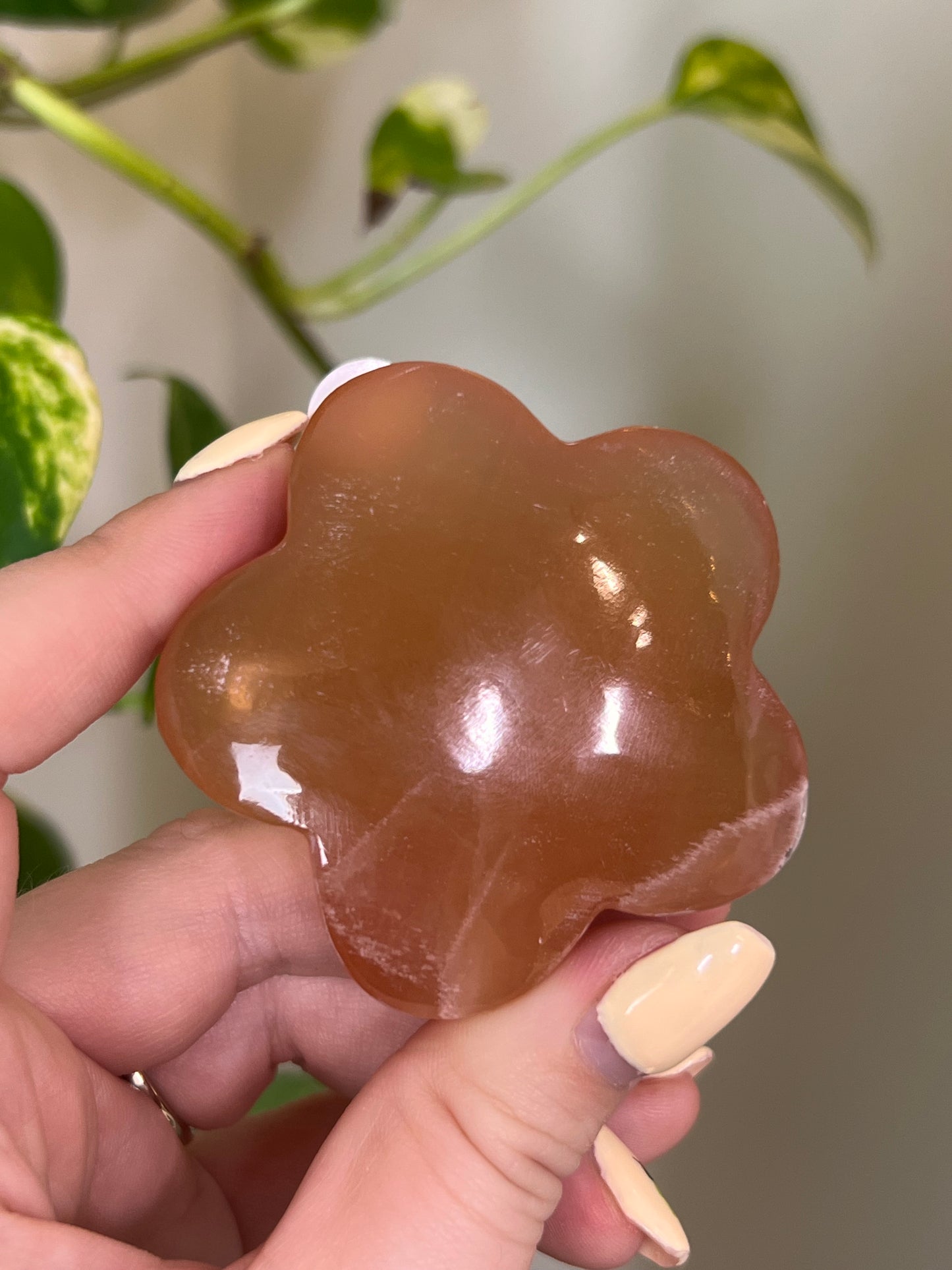 Honey Calcite Groovy Flower - B