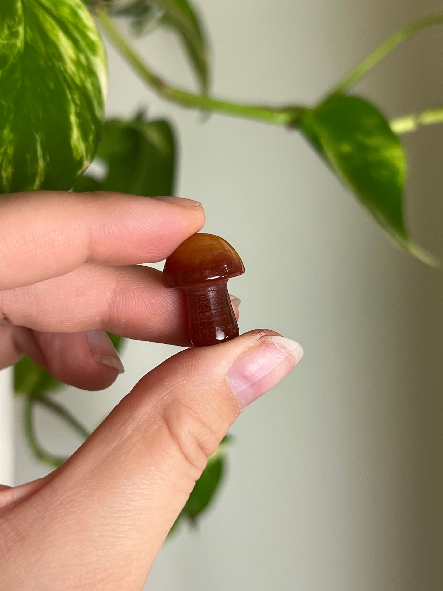 Carnelian Mini Mushie