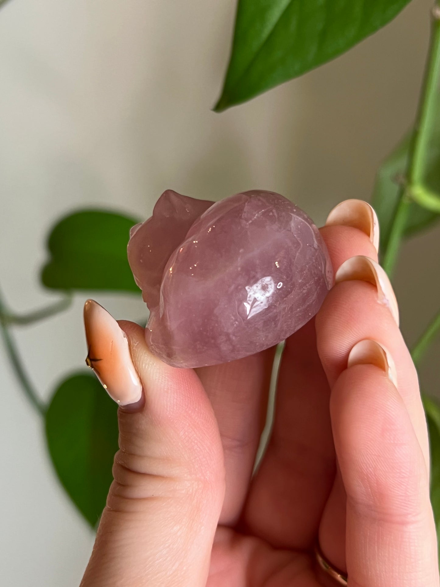 Rose Quartz Sleeping Cat
