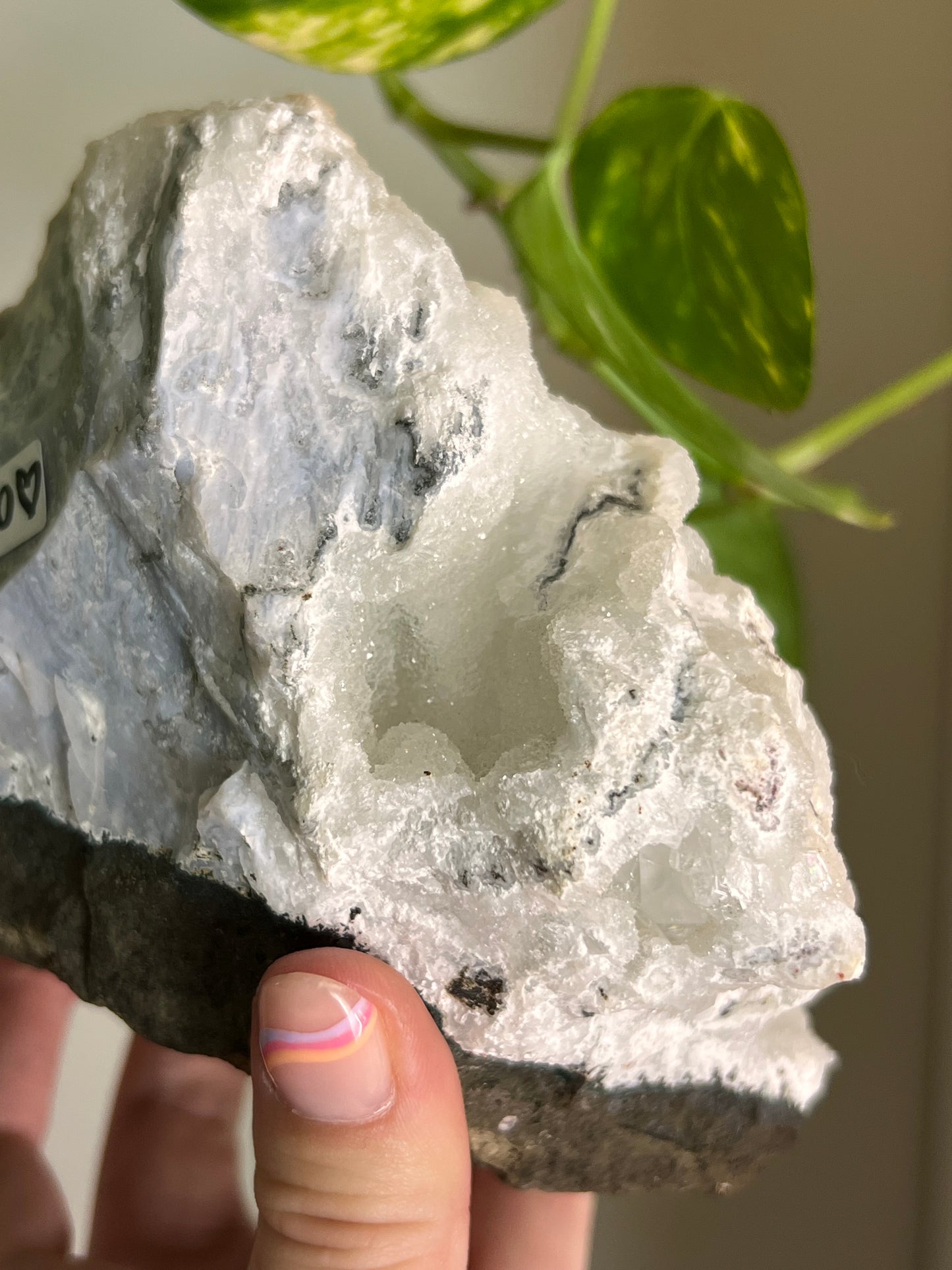Chalcedony and Apophyllite Large Cluster 🪸