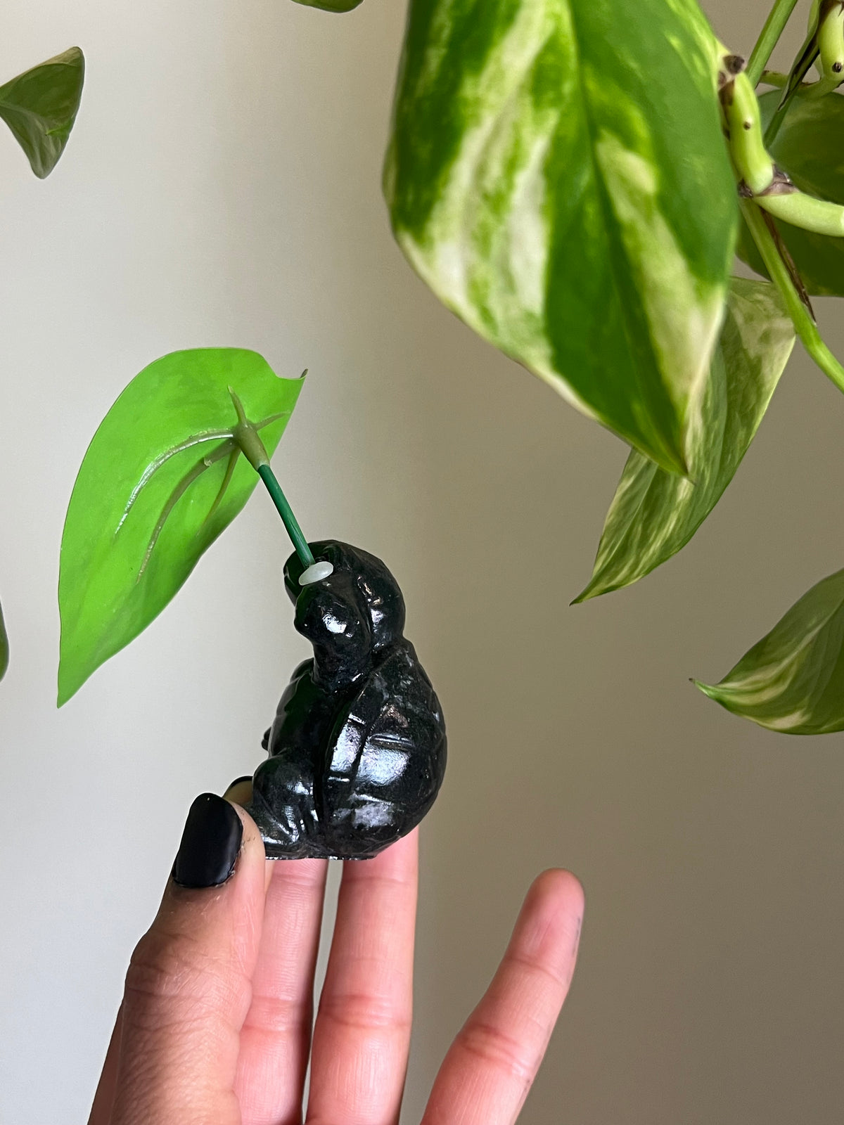 Jade Turtle with Leaf Umbrella
