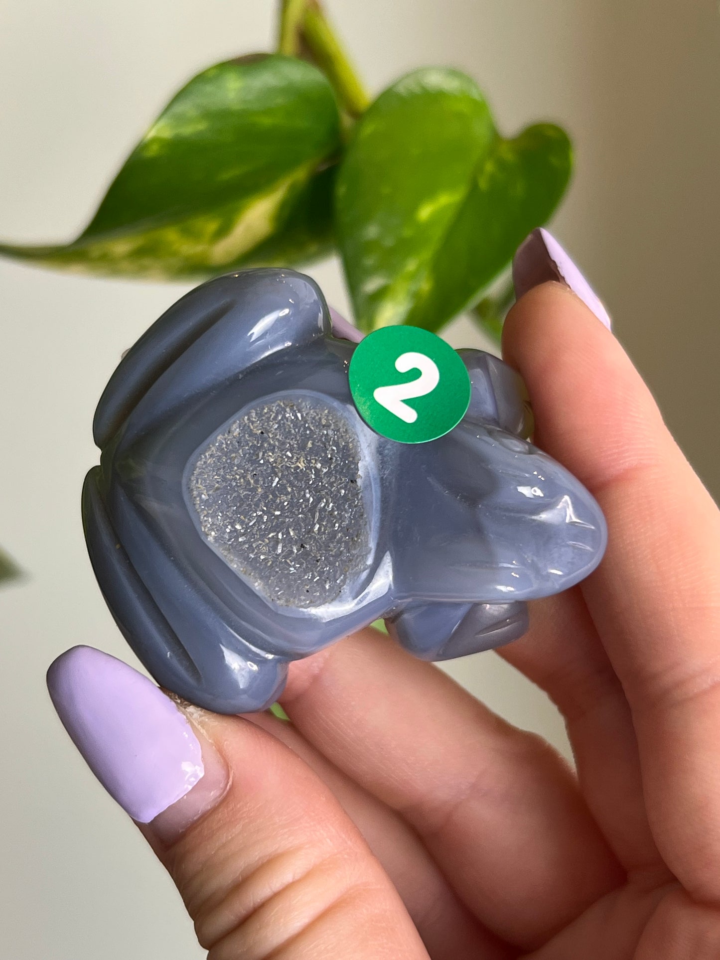 Druzy Agate Frog - 2