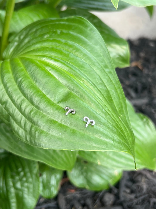 Aries Silver Zodiac Sign Studs ♈️