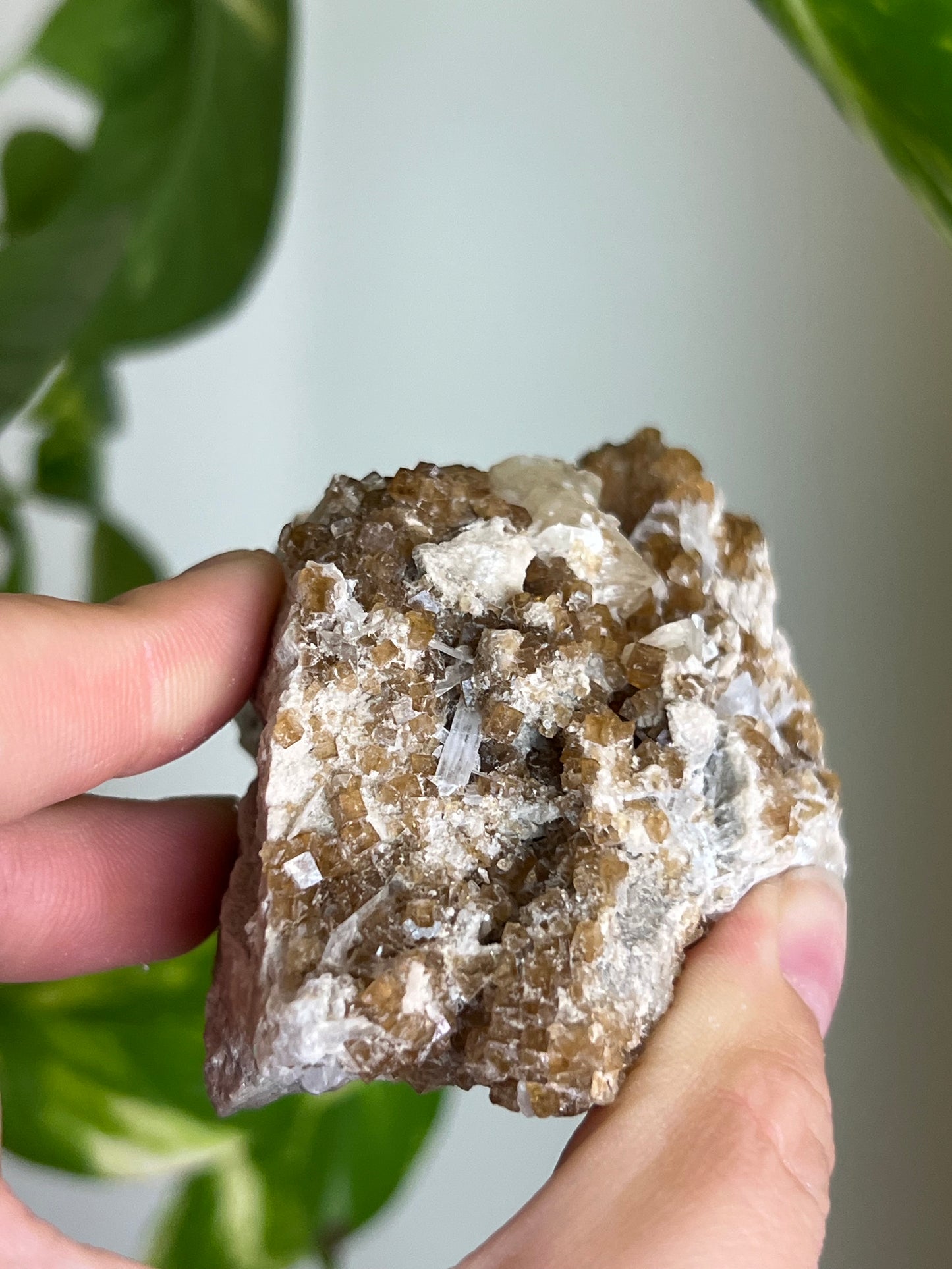 Deep Yellow Fluorite x Celestite Cluster * Rare