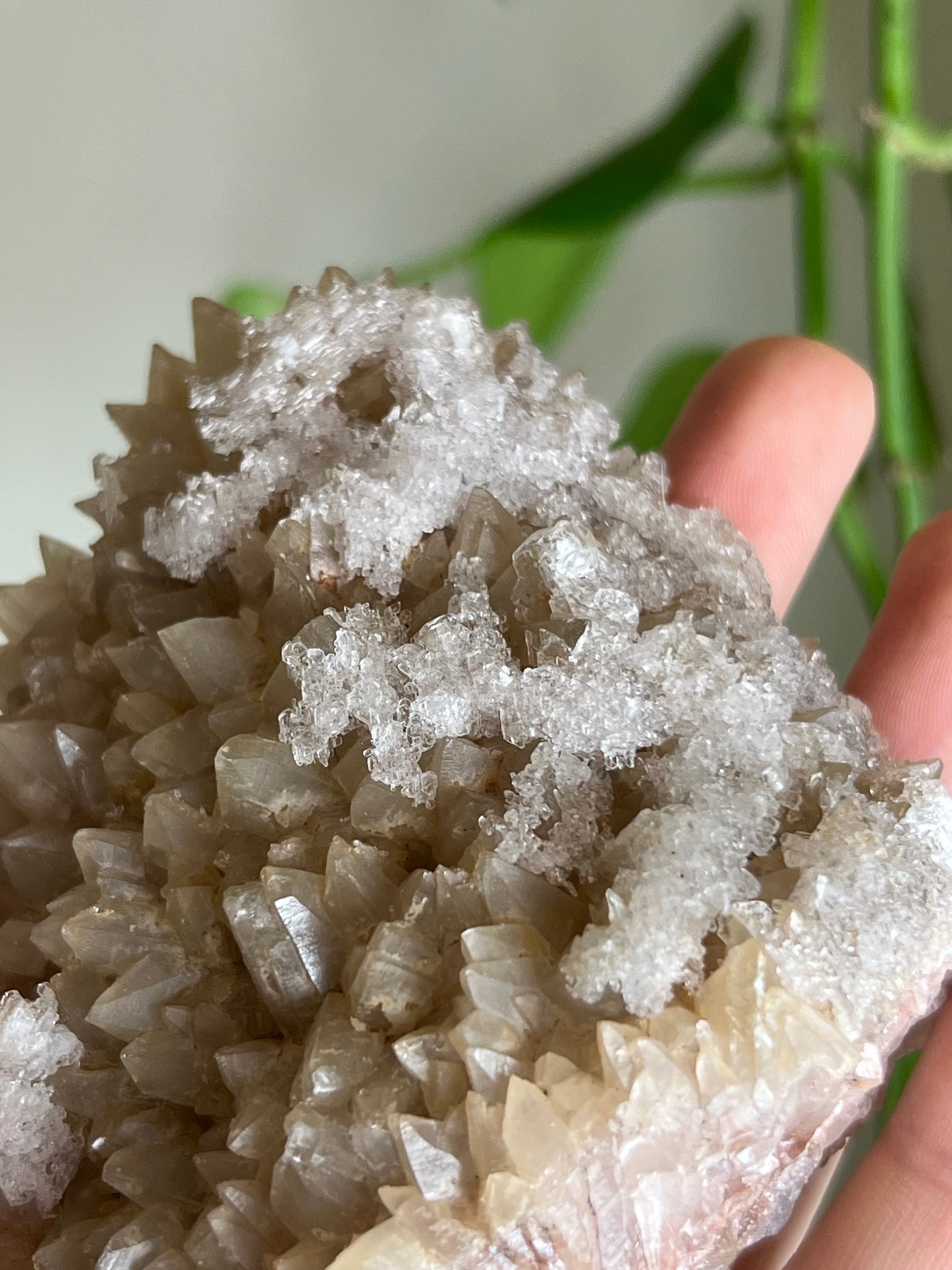 Selenite and Calcite Cluster