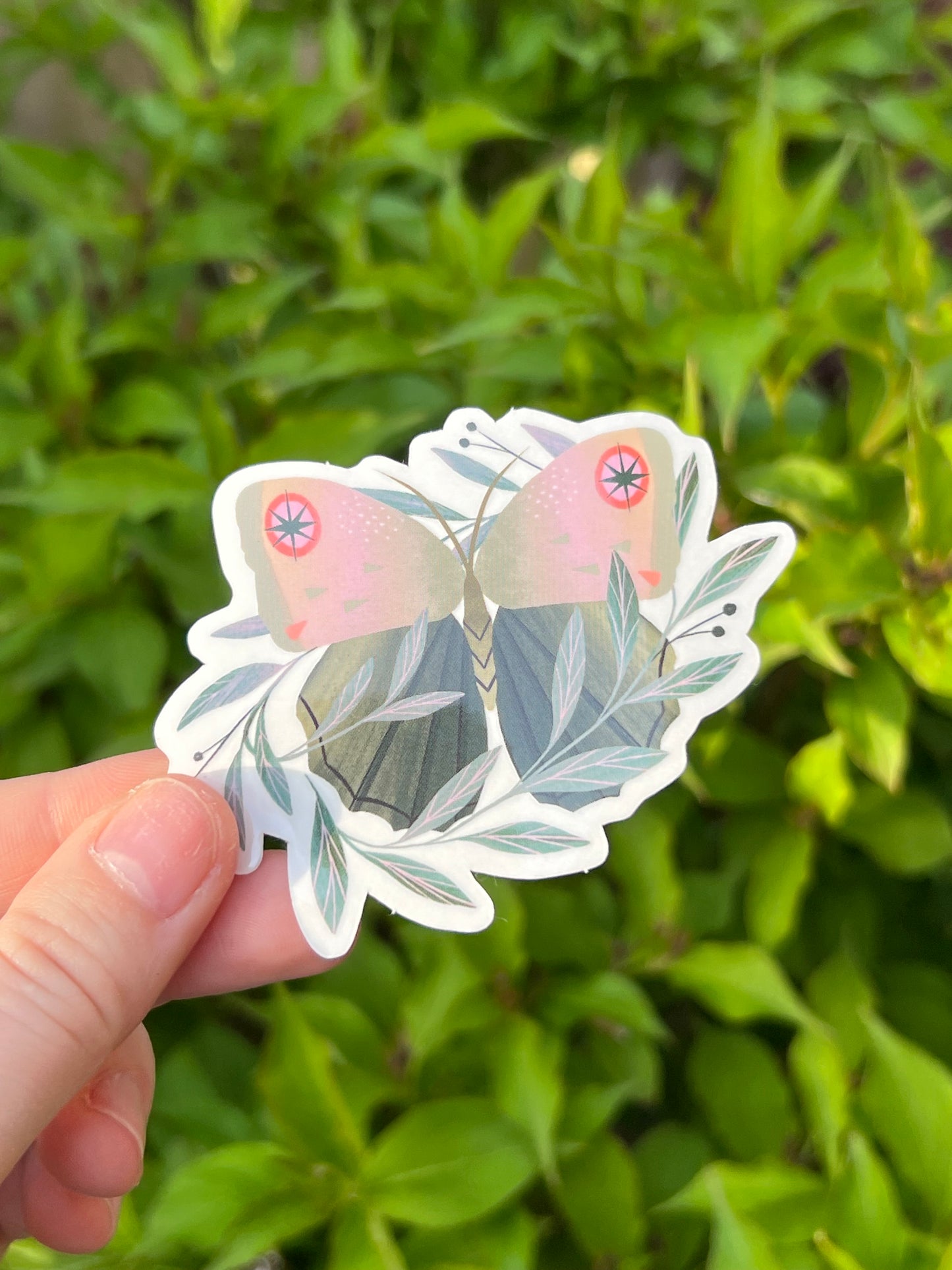 Lepidoptera Sticker