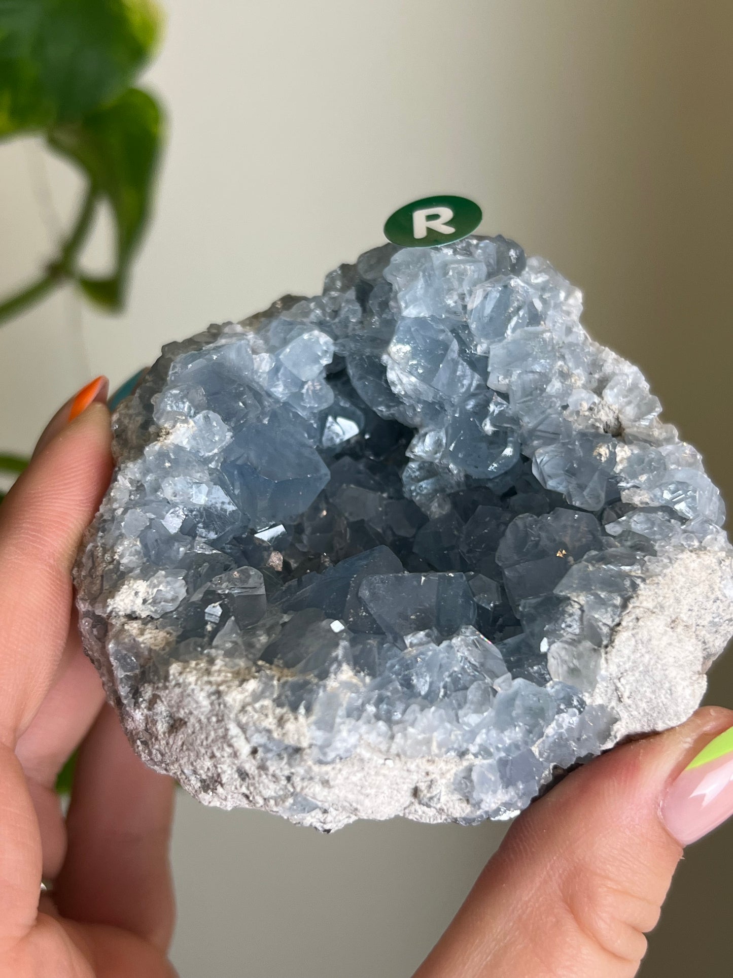 Celestite Cluster - R 🌊