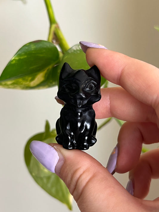 Black Obsidian Cub
