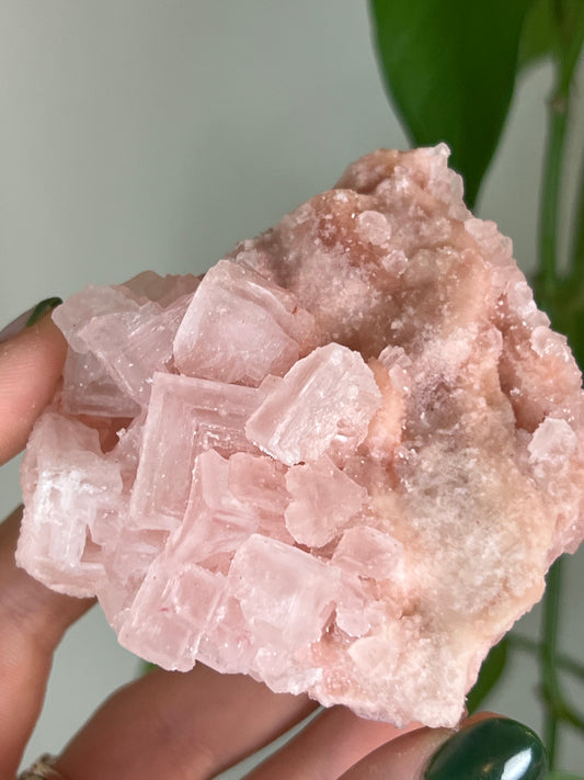 Pink Halite Specimen J | Rare