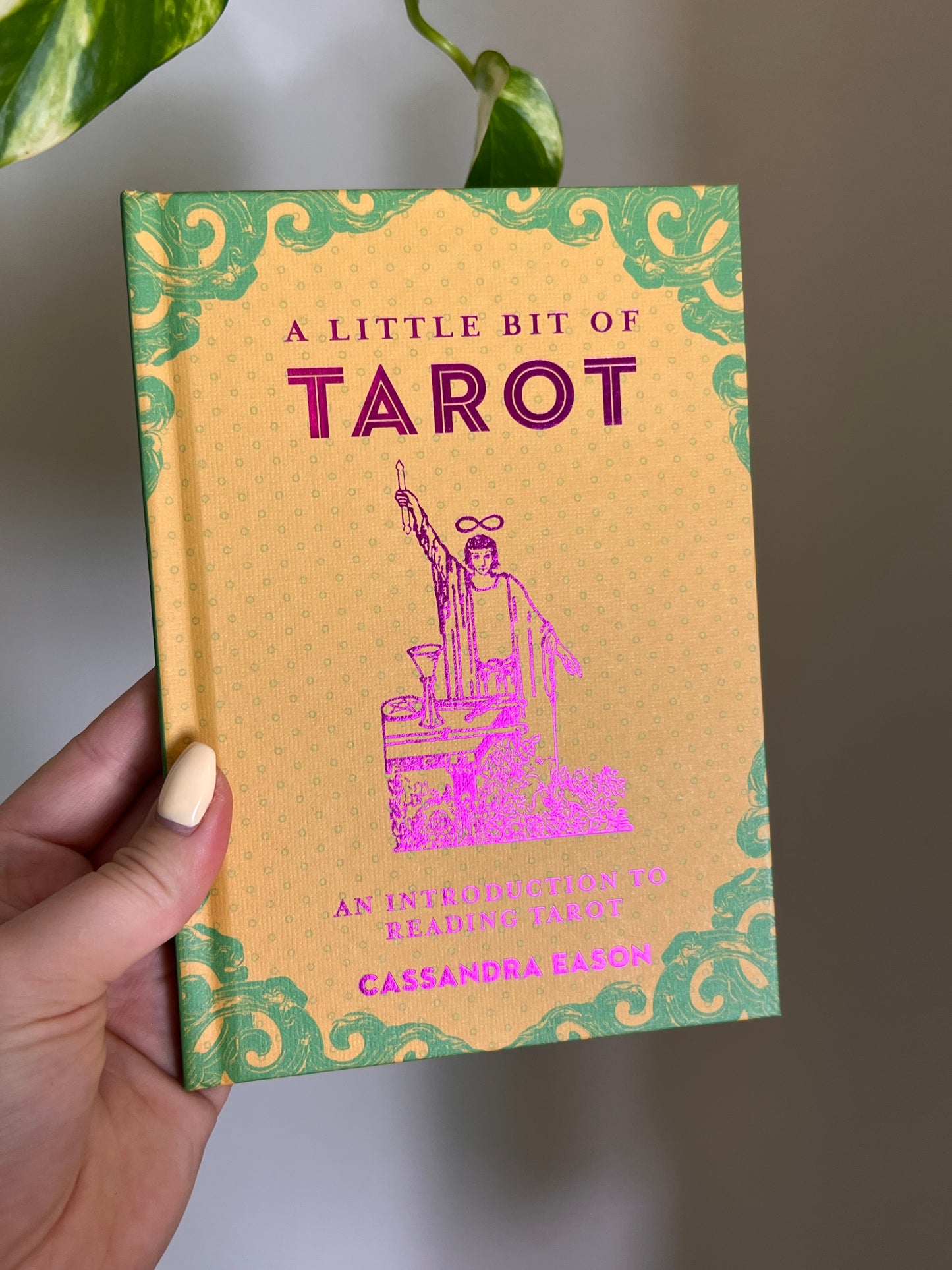 A Little Bit of Tarot Book