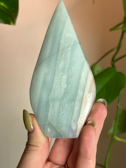 Amazonite Freeform L
